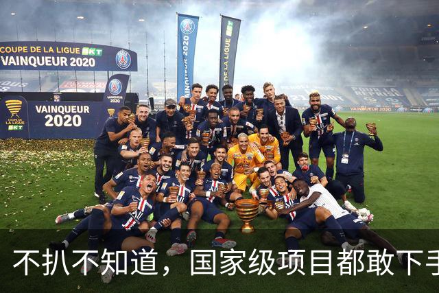 不扒不知道，国家级项目都敢下手