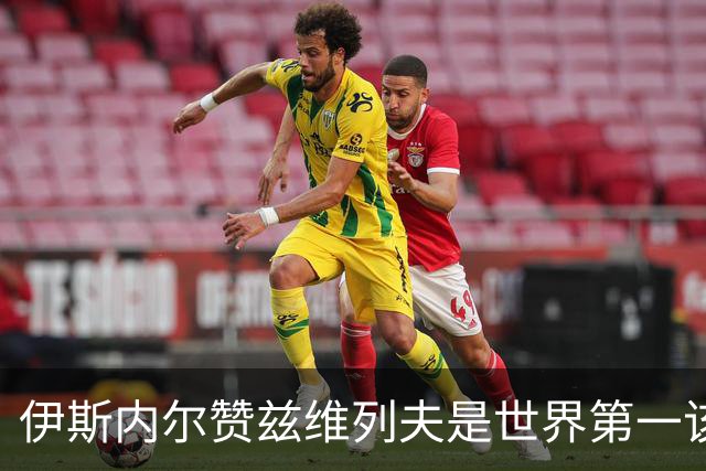 伊斯内尔赞兹维列夫是世界第一该有的样子，世界最好接发球员之一