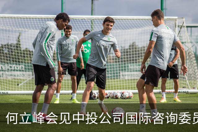 何立峰会见中投公司国际咨询委员会委员