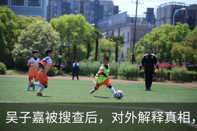 吴子嘉被搜查后，对外解释真相，国民党一人：下一个会是我?