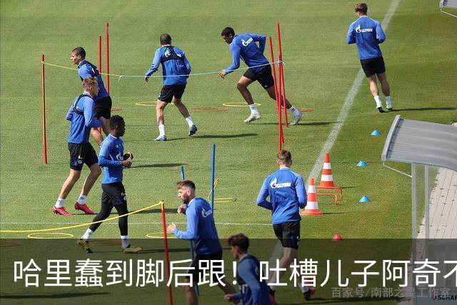 哈里蠢到脚后跟！吐槽儿子阿奇不喜欢数学，网友：那还不是随了你