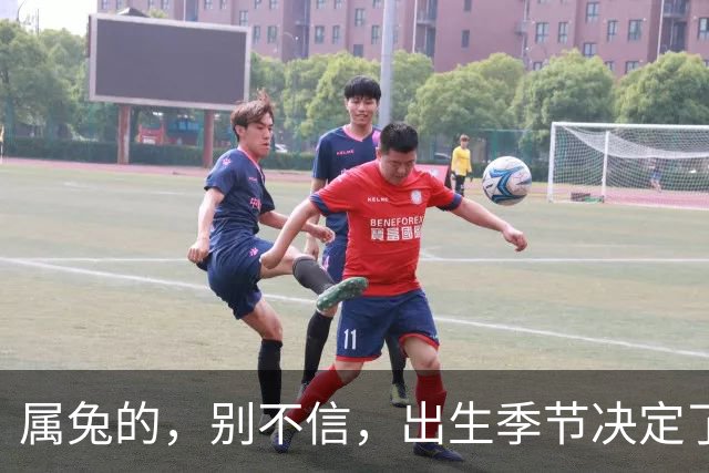 属兔的，别不信，出生季节决定了你是“伺候人”还是“被人伺候”