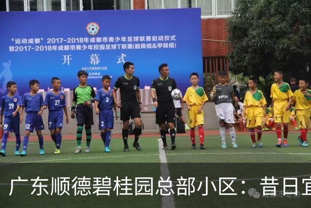 广东顺德碧桂园总部小区：昔日宜居胜地，如今现状堪忧有感