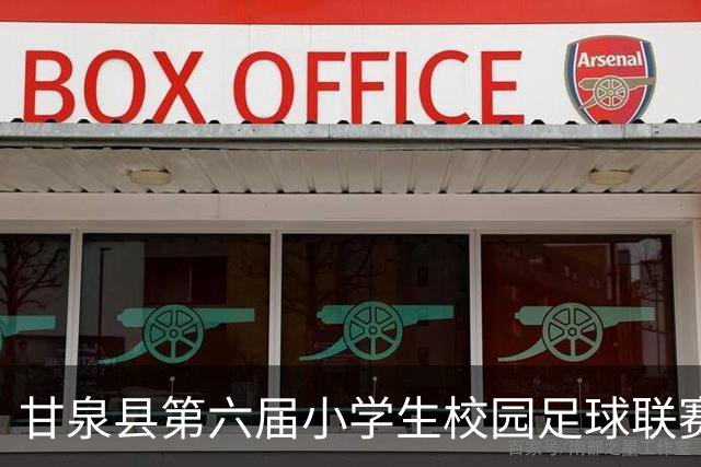 甘泉县第六届小学生校园足球联赛圆满落幕