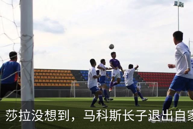 莎拉没想到，马科斯长子退出自家执政党：提前锁定“免死金牌”？